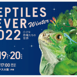 reptiles fever 2022